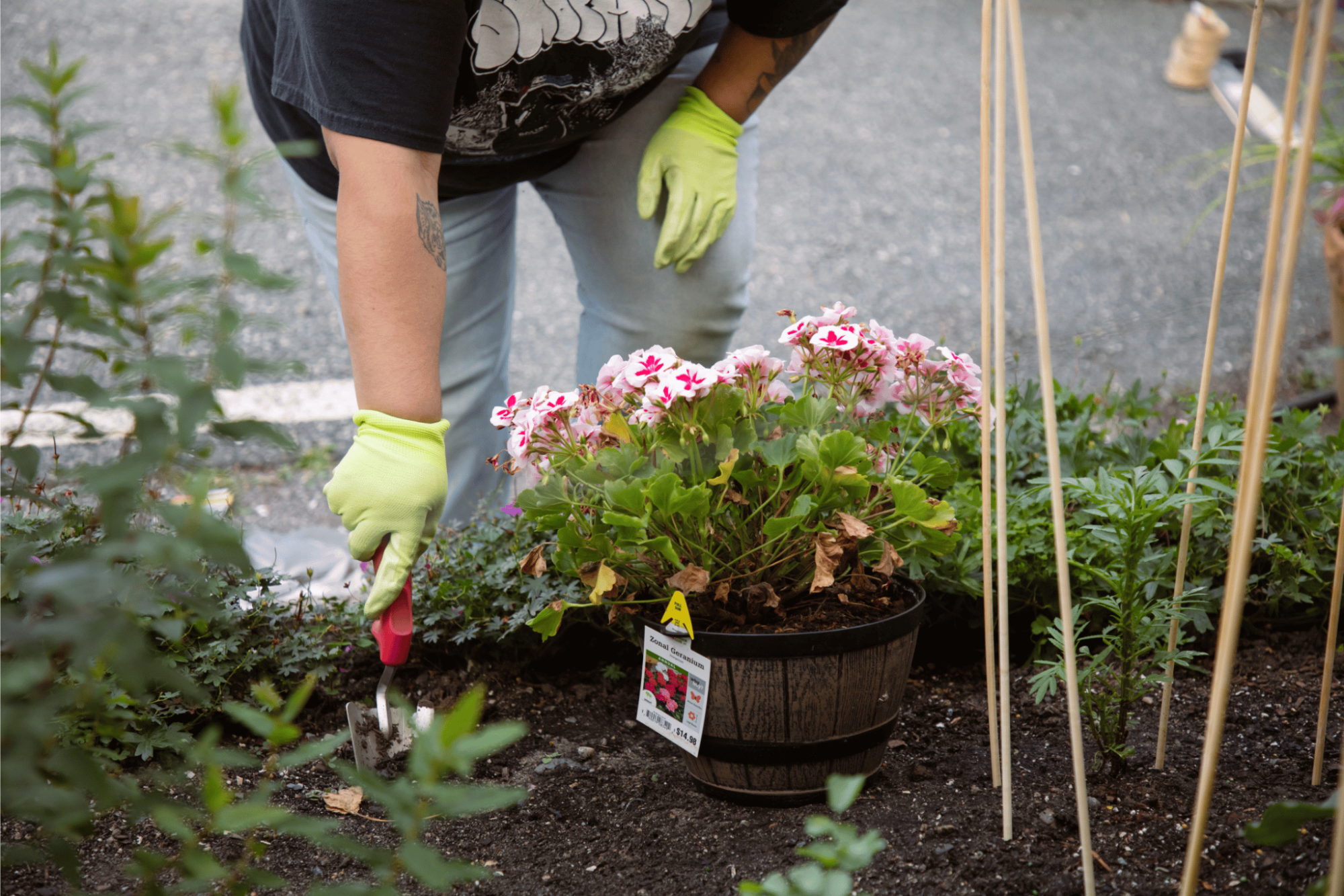 Someone crouching by a garden with a small shovel to plant pink flowers